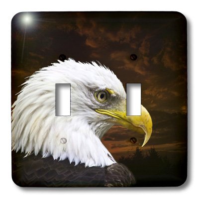 Double interrupteur à bascule American Bald Eagle Art 3dRose lsp_48674_2