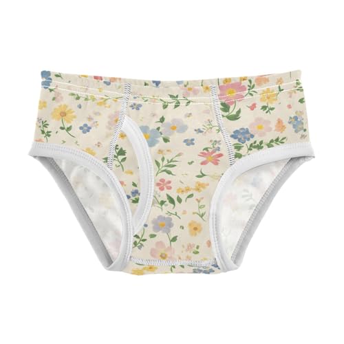 Beautiful Vintage Pattern Bouquets Little Boys Comfort Kids Underwear Breathable Undies