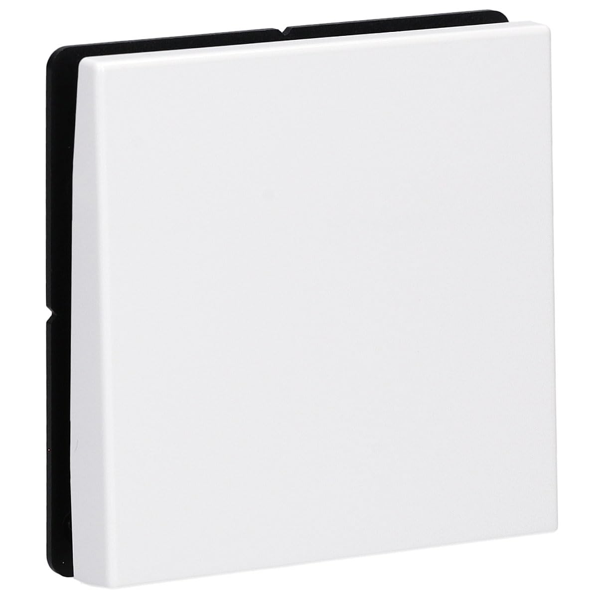 Jung, Trasmettitore Radio a Parete, 2 Canali - Enols990Ww