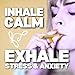 Summer Mix Edition Chewable Breather Stick Aromatherapy Natural Habit Replacement Hand Chewer with Essential Oils for on The Go Breather Fidget