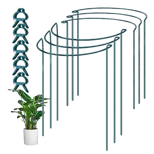 Yocuzee 6 Stück Pflanzenstützen mit 5 Stück Pflanzenclips, Halbrunde Pflanzenhalter aus Metall für den Garten (40 x 25 cm), Staudenhalter für Pflanzen, Blumen, Rosen, Gemüse, Tomaten Cover