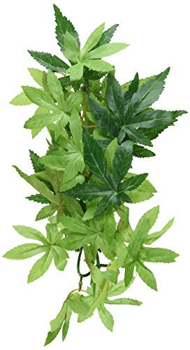 Exo Terra Abutilon, hängende Regenwaldpflanze aus Seide, klein, Länge 32cm