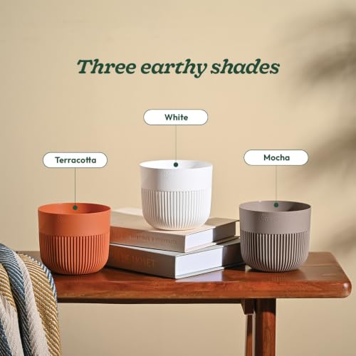 Image of UGAOO York 5 Inch White Pots for Indoor Plants, Set of 3 - Flower Pot for Living Room, Planters for Home Decor, White Planter