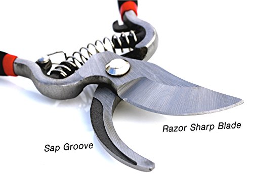 Garden GURU Classic Bypass Pruning Shears Clippers – Heavy Duty Forged Steel Garden Pruners – Safety Lock – Non Slip Comfort Grips – Cuts up to 1” Diameter – Professional Bypass Pruners for Gardening - Image 3
