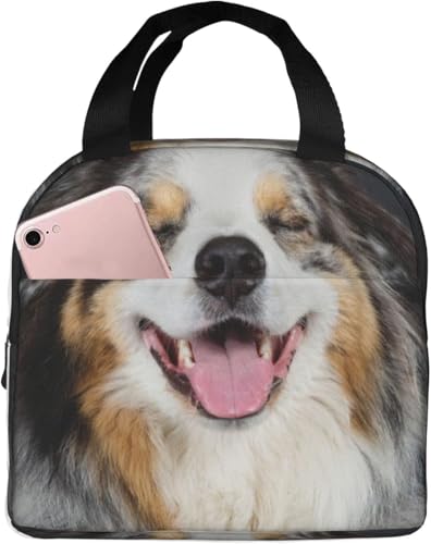 ΂ĂI[XgAEVFp[h ۉ ۗ⃉`obO ٓ 킢 e ܂ y RpNg fMA~V[g |Pbgt g[gobN jp ʋ ʊw 