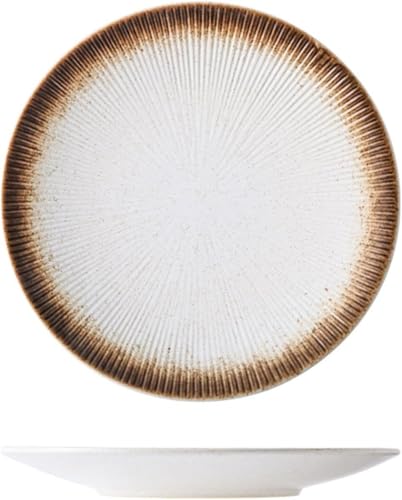 loyfreeyo �v���[�g �ĕ��M �P�[�L�M �f�U�[�g�v���[�g �� ���� �H�� 2���Z�b�g �a�� �p�X�^ ���M �a�H�� ����Ȃ� �ϔM �d�q�����W�E�H��@�Ή� ������� �h�g �T���_ �J���[ �X�e�[�L �Ɩ��p ���X�g���� ������ (30cm-2���Z�b�g,