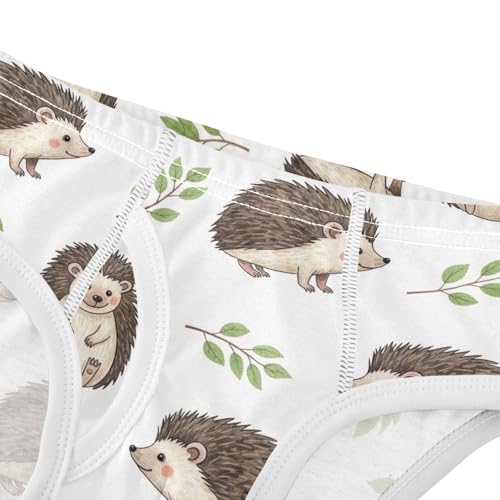 CHIFIGNO Boys' Underwear Cute Cartoon Hedgehogs White Little Boy Briefs Printed Cotton Brief Underwear4