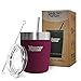 Healthy Human Insulated Tumbler Cruisers with Stainless Steel Straw & Clear Lid - Keeps Hot & Cold Beverages 2 Times Longer - Vacuum Double Walled Thermos 12 oz. Merlot