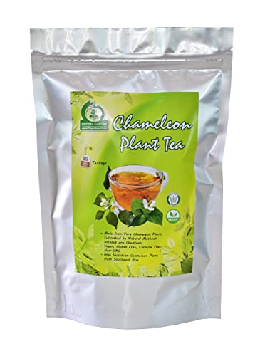 Chameleon Plant Tea 60-Teabags (3.2oz)