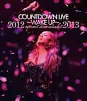 浜崎あゆみ　カウントダウンライヴ　２０１３―２０１４ ayumi hamasaki COUNTDOWN LIVE 2013-2014 A | ディスコ