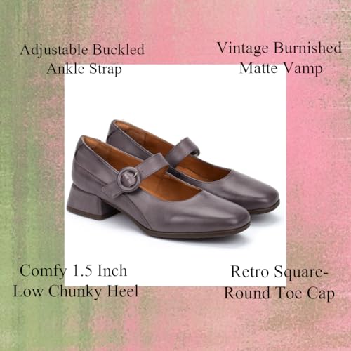 SHODENSE Women Vintage Square Toe Mary Jane Pumps Shoes Low Chunky Heel Ankle Strap Dress Sandals Metallic Matte Mary Jane Lolita Shoes Office Ladies Work Shoes Wedding Party Chic Comfort 4-11 M US3