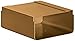 Salsbury Industries 4315D-BRS Newspaper Holder for Designer Roadside Mailbox, Brass