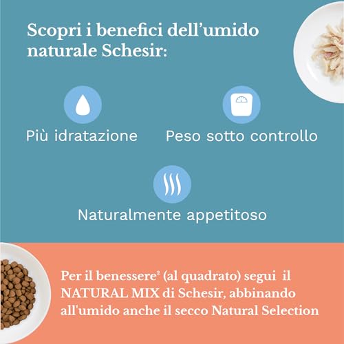 Schesir, Nassfutter für ausgewachsene Katzen, Hühnerfilets in Filets und 100% natürliches Gelee, Packung mit 6 Dosen x 85 g