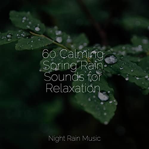 60 Calming Spring Rain Sounds for Relaxation by Academia de Meditação