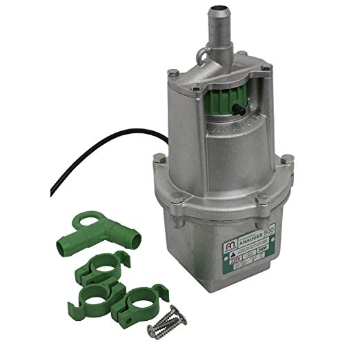 BOMBA ANAUGER 800 5G 220V