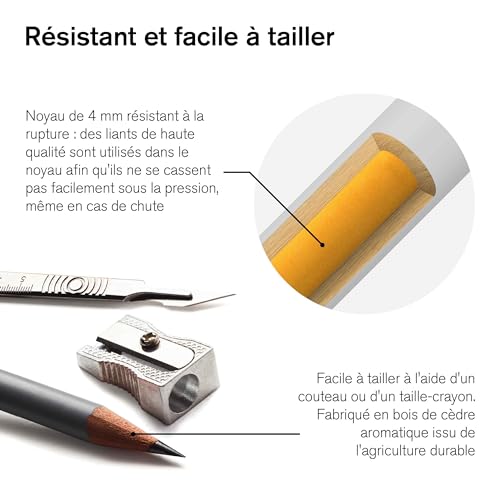 Winsor & Newton Studio Collection Crayons de Couleur X48 à mine tendre estompable