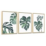 ArtbyHannah Botanical Wall Art, Canvas Wall Decor, Framed Wall Art with Tropical Leaf Prints, 3 Pieces Green Wall Art for Bedroom Living Room, 12x16 inch
