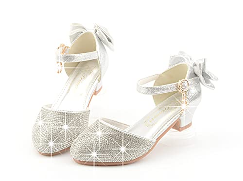 Toddler/Little/Big Girls Dress Shoes Mary Jane Flower Girl Low Heels Shoes for Wedding Party 55012