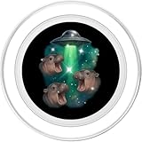 Zoom IMG-1 3 baby hippo ufo ippopotamo Zoom IMG-1 3 baby hippo ufo ippopotamo