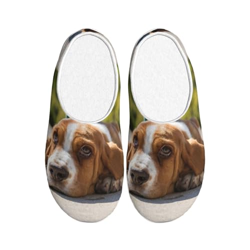 Chaussons chauds EdWal anti-froid et anti-glisse pour passer l'hiver au sec