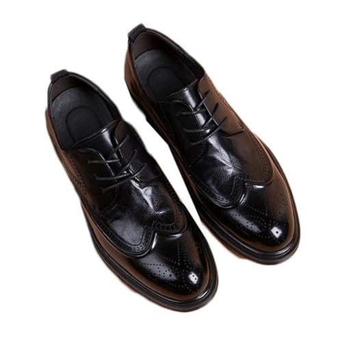 [GUREITOJP] rWlXV[Y wȂC Y {v [XAbv 4cmAbv EBO`bv  hh \tg Gi ʋC EH[LOV[Y tďH ގ r^j ʋ T[} 25.5 cm