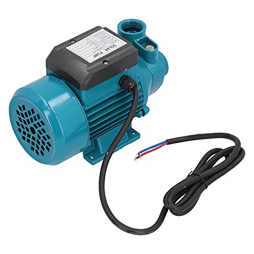 OVAQUIXI 15m Hub Unipolarmotor, 12V 180W 1,5m³/h Wasserförderpumpe mit Einfacher Saugseite für Landwirtschaftliche Bewässerung