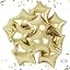 Metallic Light Gold