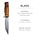 HELLE Knives - GT -Triple Laminated Stainless Steel, Outdoor Camping Knife, Stick Tang Fixed Blade with Sheath, Curly Birch Handle, Made in Norway