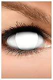 FUNZERA Farbige Kontaktlinsen Halloween Weiß BLIND WHITE, 2 Stück (1 Paar), ACHTUNG: Nur 60% Sehvermögen, Ohne Sehstärke, weiße Linsen, 2 x farbig Kontaktlinse für Karneval, Fasching