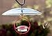 Best Small Glass Hummingbird Feeder with Red Perch - New Bee & Wasp Proof Design - Hummers Love This Feeder!