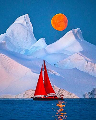 Diamond painting complet paysage de neige idée cadeau originale pour adulte passionné DIY