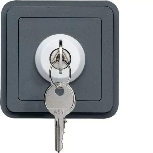 Interruptor de llave, 2 posiciones, gris