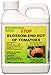 Southern Ag 100048945 STOP Blossom-End Rot of Tomatoes, 16 Ounce