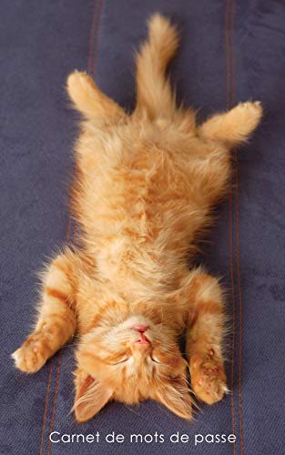 Télécharger Carnet de mots de passe: Journal d’adresses de sites web et de mots de passe - Couverture avec un Francais PDF