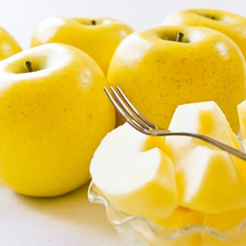  󂠂 R`Y  VimS[h 3kg(ʐ܂) oׁꕔn͕ʓr