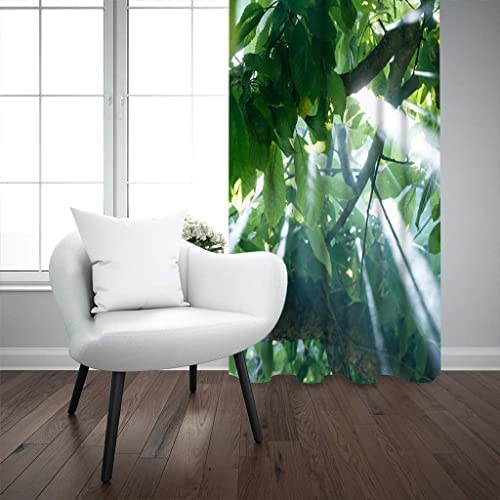 Cortinas Opacas 170 X 200 Cm Impresión 3D Hojas De Plantas Verdes Patrón Térmicas Aislantes Y Ojales Cortinas Plisadas Para Sala De Estar, Dormitorio, Habitación De Niños,Decoración De Ventanas