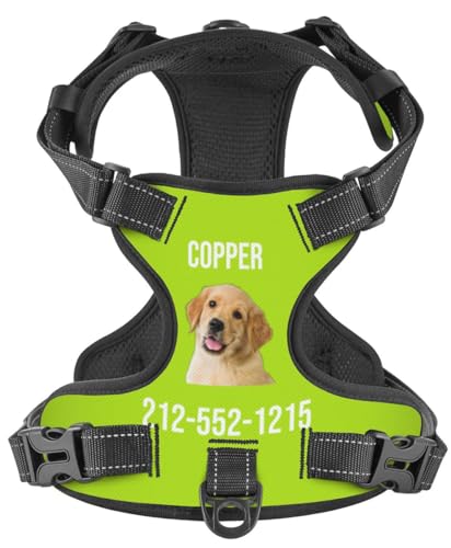 WINKEEY Pettorina per cani Personalizzata, Pettorina per cani Taglia Piccola, Media e Grande, ad h, Personalizzabile con nome e numero di telefono, Riflettente