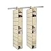 2 Pack 10 Shelves compartments Fabric Hanging Closet Shoe Storage Organizer, for Shoes, Handbags, Clutches , Accessories & Clothing , hangs over the closet rod , 6 x 12 x 47 inch