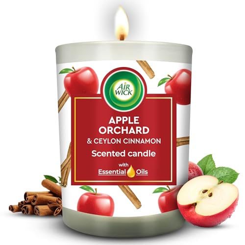 Airwick Scented Candle for Home & Gift Purpose|Apple Orchard & Ce...