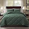 ELNIDO QUEEN Queen Comforter Set – Green All Seasons Bedding Comforters & Sets with 2 Pillow Cases – 3 Pieces Bed Set – Down Alternative Comforter Set- Bedding Comforter Sets Queen Size (88×92 inch)