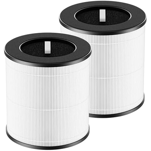 JORAIR D09 Replacement Filter Compatible with Tailulu Air Purifier Cleaner D09, 3-in-1 H13 Grade True HEPA Replacement Filter, 360 Rotating D09 Filter, 2 Pack Cover