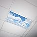 Cloud 002 2x4 Flexible Fluorescent Light Cover