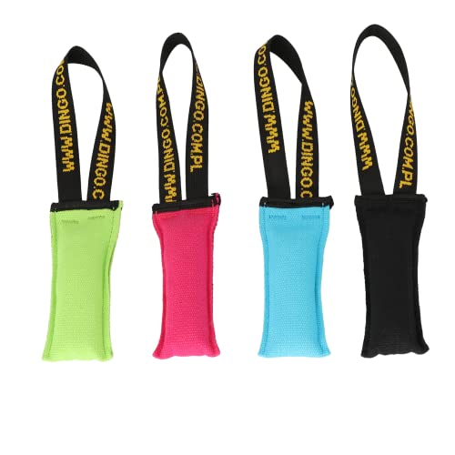 BABORUI Schwimmendes Hundespielzeug – E-TPU, Für Pool & Strand, Apportierbar & Kaufsicher