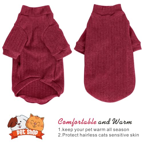 Vêtement doux pour chiot et chat Sphynx : le pull à col roulé contre le froid