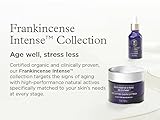 Neal's Yard Remedies Frankincense Intense Lift Eye Cream, Age Defying Eye Cream with Hyaluronic Acid & Caffeine, Vegan & Cruelty-Free, 15ml - Image 6