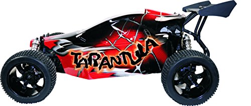 Preisvergleich Produktbild Amewi 22079 - Buggy Tarantula 4WD, M 1:5, 23 cm, RTR