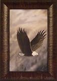 Dawn Patrol by Ray Whitson 11x15 Soaring Eagle Framed Art Print Wall Décor Picture