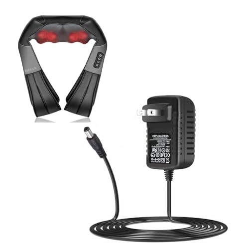 12V DC Charger