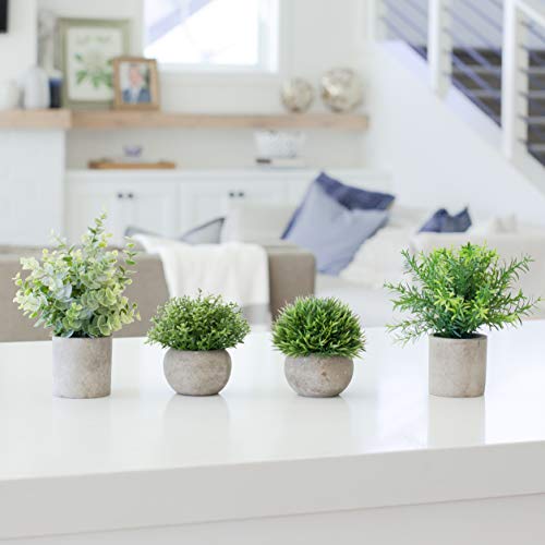 Greencallow Artificial Plants For Home Decor Indoor. 4 Mini Plants, Rosemary Faux Plant Decor, Eucalyptus Plant, Grass Faux Plants. Small Fake Plants For Shelf Or Desk Plant Artificial Greenery Décor #TOP5