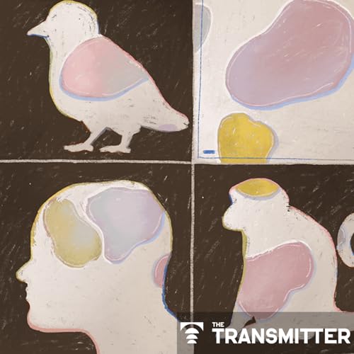 Why emotion research is stuck-and how to move it forward